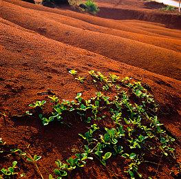 《星空》发布两个月后 Steam玩家数量少于《上古卷轴5》